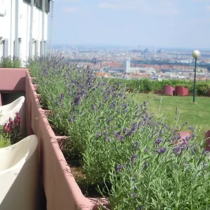 https://palace-hostel-schlossherberge.vienna-besthotels.com