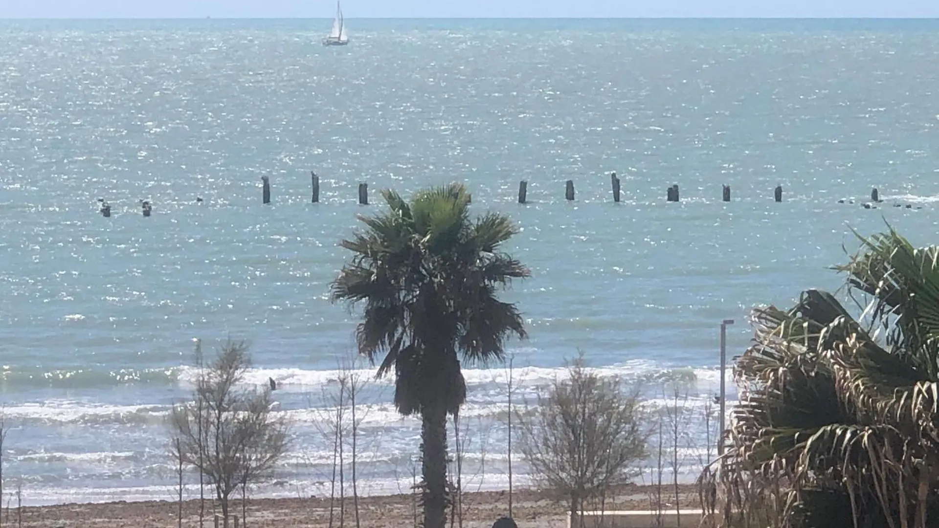Vollga Four Seasons Apartment Durrës